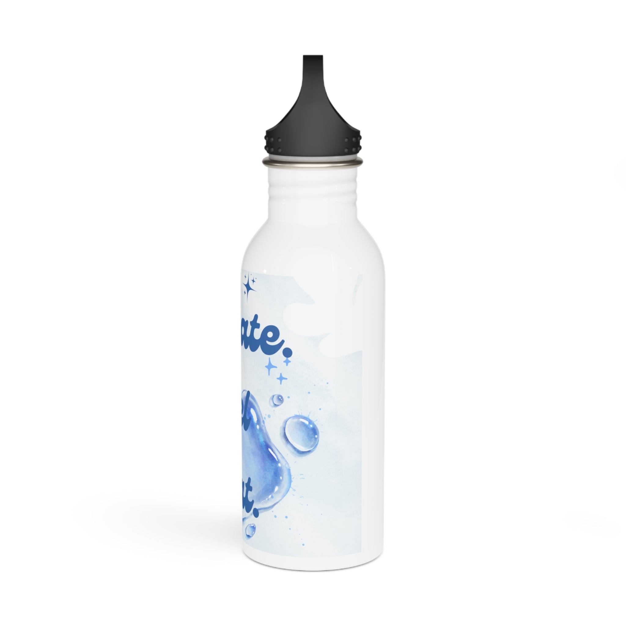 Stainless Steel Water Bottle